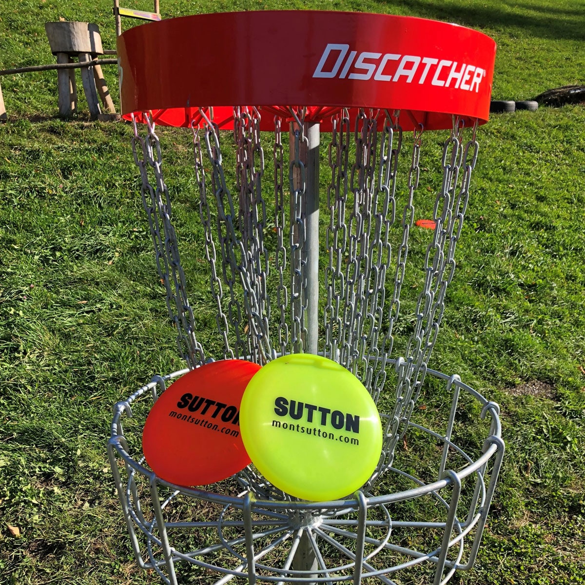 a photo of a player doing disc golf