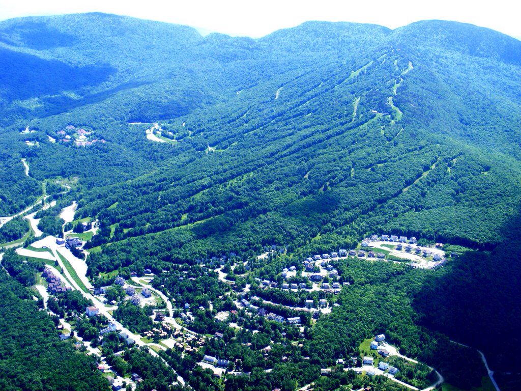 image of sutton